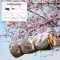 زیرانداز نشیمن نیچرهایک مدل CNH22DZ14002