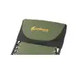 صندلی تخت شو چانوداگ مدل FX-8205